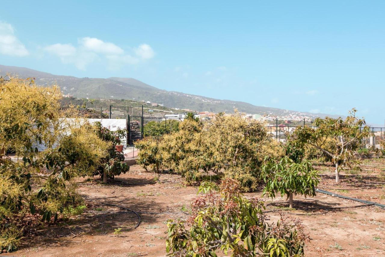 Casa Quemahierro 1 Villa Icod De Los Vinos Dış mekan fotoğraf